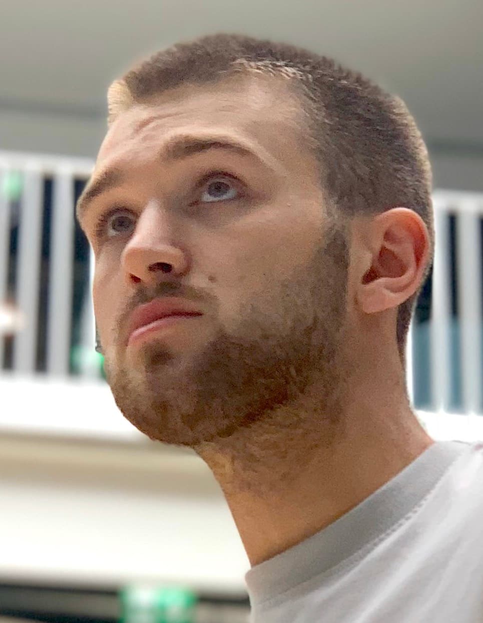 Daniels Vidulejs