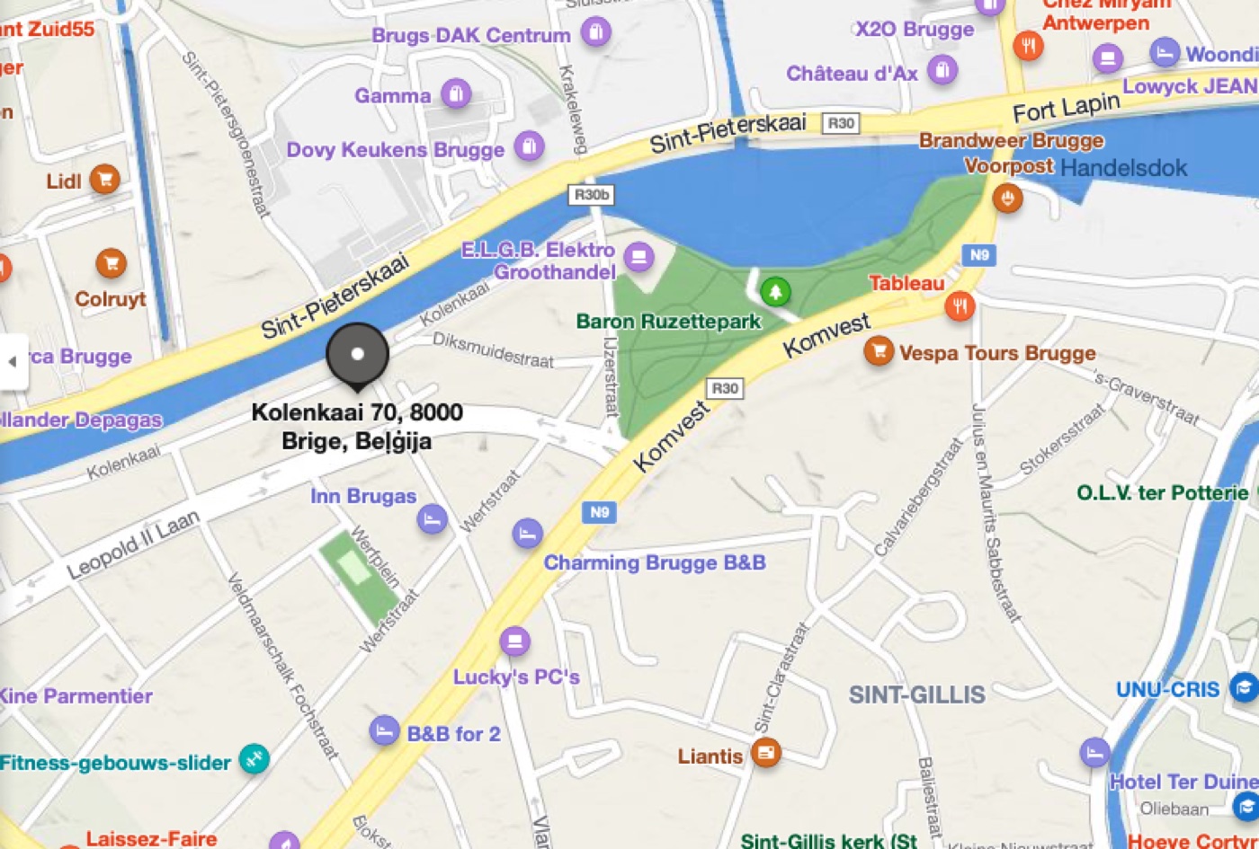 Daga Viduleja eļļas gleznas DEVE Art Gallery zālē Brigē